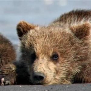 Meet your Posher, Joni